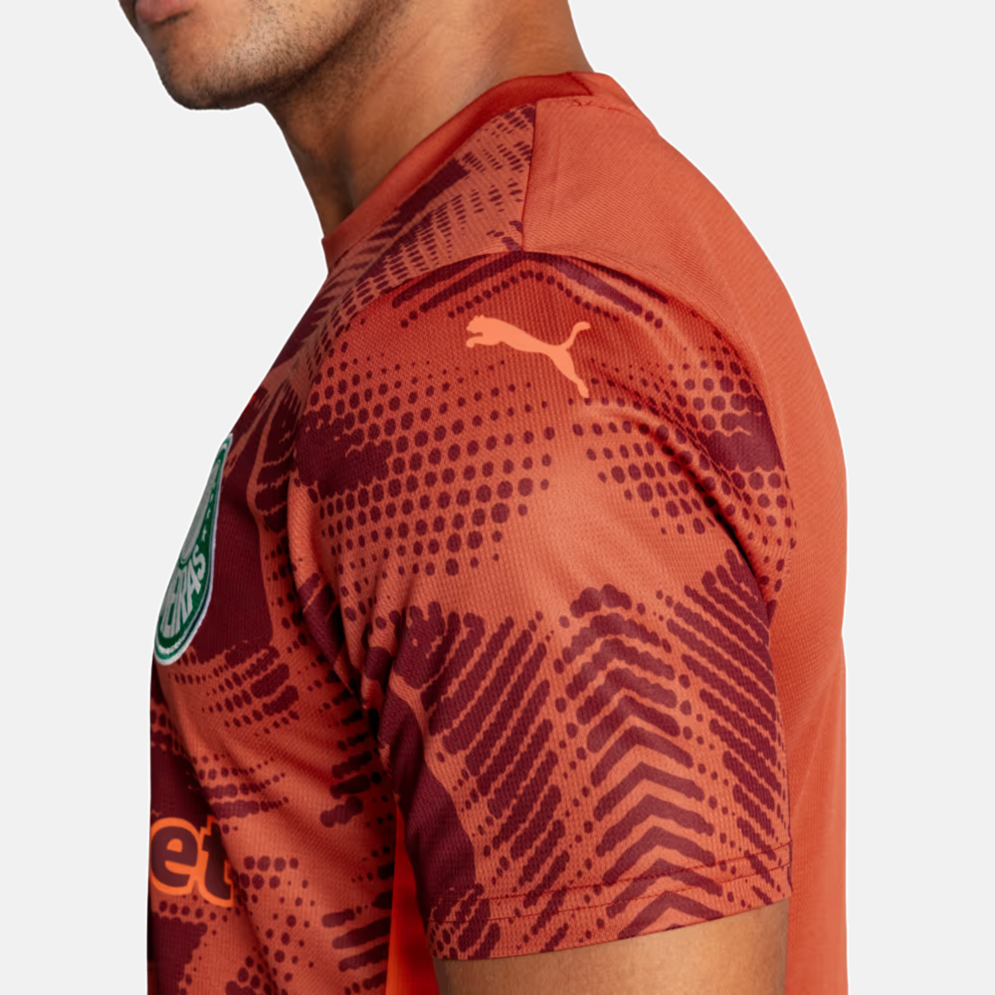 Camisa Puma Palmeiras 2025/26 Goleiro II
